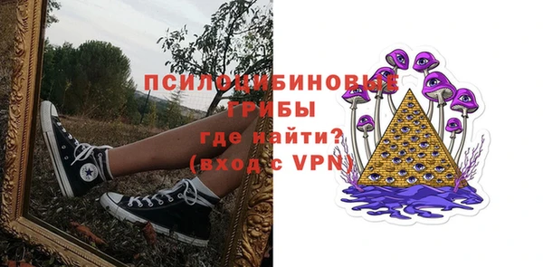 бошки Алзамай