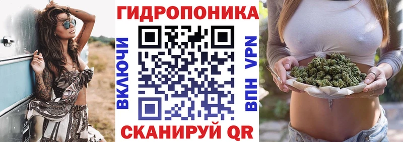 Купить где  Катайск  Бошки марихуана MAZAR 